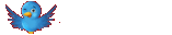 Folge uns bei Twitter